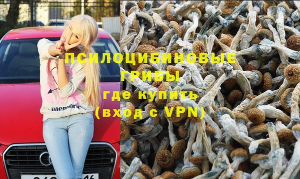 метамфетамин Алексеевка