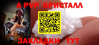 СК Вязьма