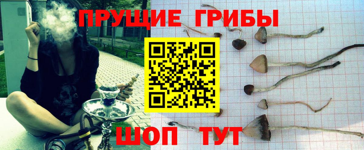 Одинцово  Галлюциногенные грибы MAGIC MUSHROOMS  Вход с VPN  Псилоцибиновые грибы Psilocybine cubensis 